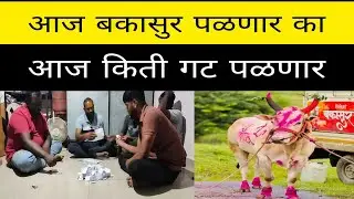 आज वडूज येथे आदत मैदान होणार . बकासुर ची चिठ्ठी निघाली का ? आज गट १ ते ६० गट पळणार.