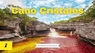 Ca&ntilde;o Cristales: Colombia&rsquo;s Stunning Liquid Rainbow River