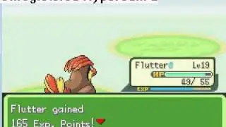 Pokemon Rijon Adventures Training Montage Owsauri City Part 3