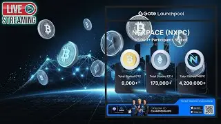 GateLive Nexpace NXPC Fase 2
