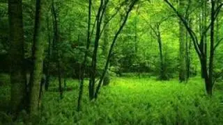 Johann Pachelbel - Canon (drums edit)