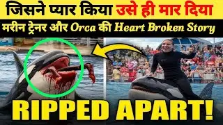 Jessica Radcliffe Killer Whale Attack Video का सच! | पूरा मामला है Fake AI Clip | Orca Truth