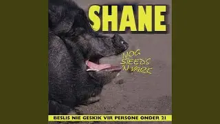 My Naam Is Shane