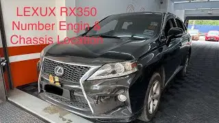 Lexux RX350 Number Engine & Chassis Location