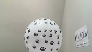 Эпизод с воздушным шаром 🎈114159
