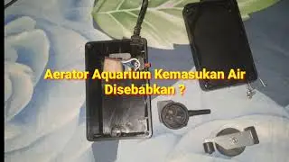 Kesalahan Yang Menyebabkan Aerator Aquarium Kemasukan Air