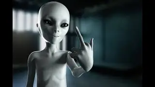 sem fakt npc :(