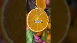 DATI CURIOSI che POTREBBERO SPAVENTARVI
