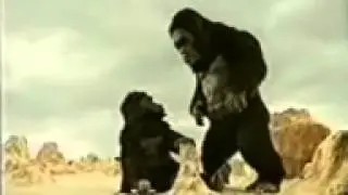 KING KONG CARS toy play