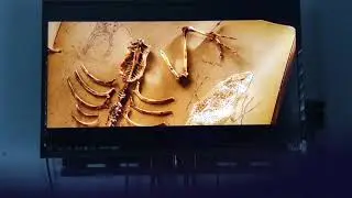 Paramount Pictures/Nickelodeon Movies Logo (Plus Intro)