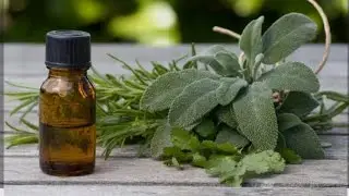 My Homemade Path: Custom Scents and Oils for Allergies and Wellness