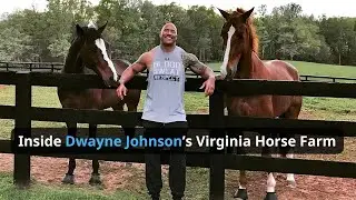 Inside Dwayne Johnson&rsquo;s Virginia Horse Farm &ndash; The Rock&rsquo;s Power, Family Roots, and Country Calm