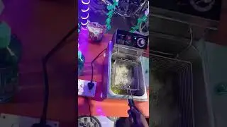 Electric Dip fryer machine ! popcorn fry ! fish fry ! fish finger !