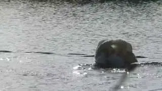 DMC-TZ30 Full zoom natural lighting @ Langtoft Lakes Pt2