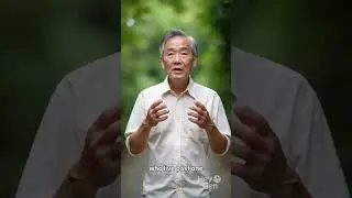 Over 60? 5 Japanese Longevity Secrets You Can Start Today! 🌿 | WellAge Hub