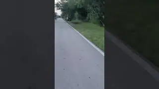 South Florida puch moped racing