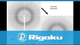 Rigaku Webinar: Radiation Damage in Macromolecular Crystallography