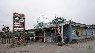 The Veggie Wagon Carolina Beach Vegan Vacation 4 of 8