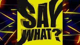SCD23 - SAY WHAT ?