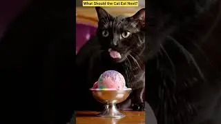 Fancy Cat is back! His fav is glitter ice cream. What food should he eat next? 🐈#cat#asmr#ai#trend