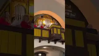 Zbor Aquila Cerje - Gloria
