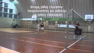 Dogranie piłki do siatki