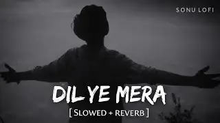 DIL YE MERA ❤️‍🩹 | Hindi Lofi Song | Slow & Reverb | Emotional Night Vibes