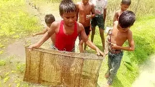 Amazing Fish Trapping System | Village Kids Fishing with Bamboo Fish Trap | Best Fishing Video