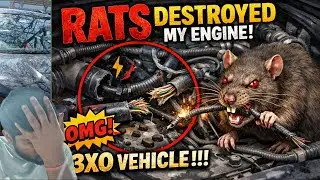 Rats Cuts My 3xo Engine Wires And Pipes 😭 || Be careful While Parking Your Car 
