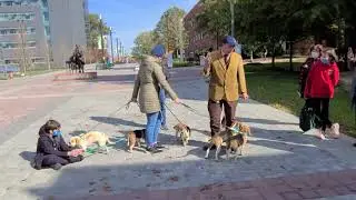 Horn Call Demonstration