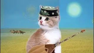 Unlock a new emote by learning 42 letters of the Kazakh alphabet