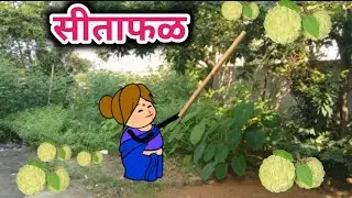सीताफळ 🤣 Tanatan Powari Comedy 🤣 Powari Tadka 🤣 Powari Bhasha 