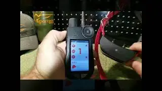 Первоначальная настройка SportDOG BRAND TEK 2.0
#nitelifekennel #SportDOG