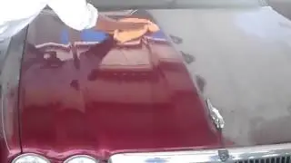 Ecolavado sin Acqua