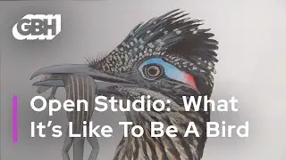 Open Studio: What It's Like To Be A Bird (Full Episode)