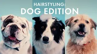 Pet Styling: The Best Pet Shampoo for Your Fur Baby Feat. OUAI | Sephora
