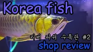[monster korea fish shop review] 리버피쉬 수족관 탐방기#2 - 용, 플레코, 캣피쉬, 가아 등등