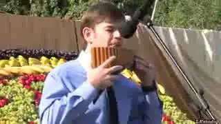 Tedim labu