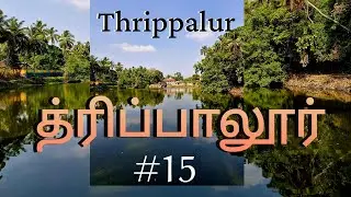 Route#15...விசேஷம் இல்லாத விசேஷ கோவில் பாலக்காடு த்ரிப்பாலூரில் 🙏🙏🙏#Sunrise#Temple#Travel#Natutre