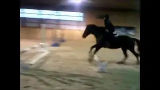 Gymnastic work at Blazing Colours Farm