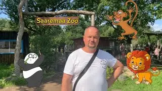 #62. ОБЗОР ЗООПАРКА СААРЕМАА 🦧 ДОМ-ХУТОР НА ОСТРОВЕ 🏠🏝 SAAREMAA ZOO REVIEW 🦧 ISLAND FARM HOUSE