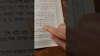 Shabbat menuchah vesimcha older tune שבת מנוחה ושמחה