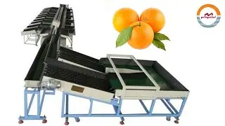 Automatic Double Lanes Oranges Weight Sorting Grading Machine GWE-42000 Citrus Sorter Grader
