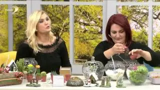 Derya Baykal'la Gülümse: Terrarıum Uygulaması