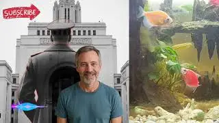 Агент-призрак КГБ: 8 лет работал, но не существовал