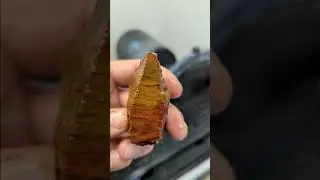 Rock Chop! Cutting Yellow and Red Jasper | Oregon Rockhounding Jasper