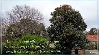 R&eacute;flexion et m&eacute;ditation dans un petit jardin, un petit coin de nature...