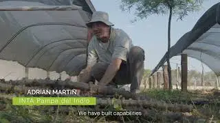 Water and Forest Project in Chaco, Argentina