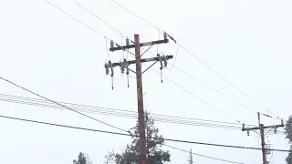 What to do with your perishable food during a power outage