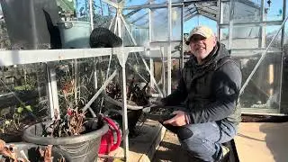 № 264 - От хаоса к порядку - Масштабные улучшения сайта и смена удачи!